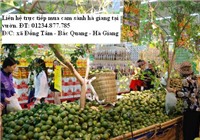 Đặc sản bắc quang cam sành hà giang Cam sành Bắc Quang, một sản vật của núi rừng, sự kỳ công chăm sóc của người dân một nắng hai sương và của sự quan tâm, tạo điều kiện phát triển của huyện Bắc Quang. 5