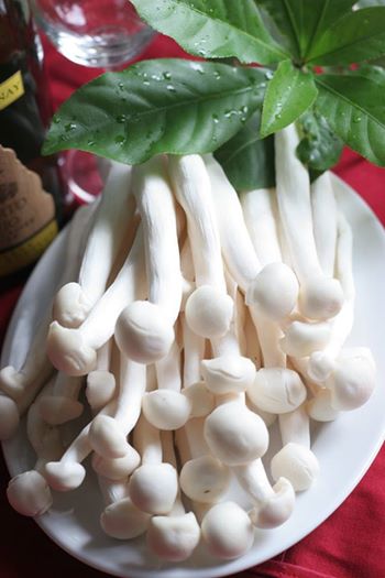 Nấm hải sản tươi Nấm hải sản tươi