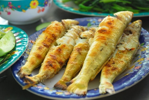 Cá đục tươi ngon loại 15-17 con/kg Cá đục tươi ngon loại 15-17 con/kg