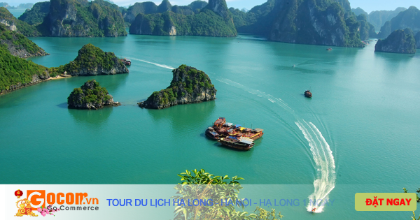 Tour du lịch Hạ Long - Hà Nội - Hạ Long 1 ngày