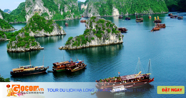 Tour du lịch Hạ Long - Hà Nội - Hạ Long 1 ngày