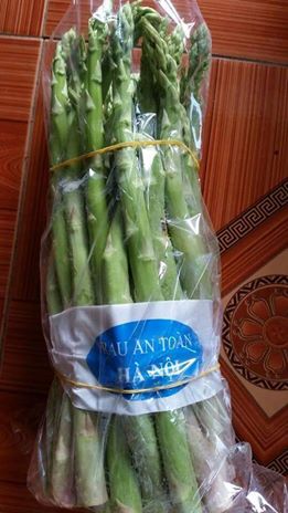 Măng tây siêu ngon - Ship toàn Hà Nội Măng tây siêu ngon - Ship toàn Hà Nội