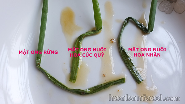 Bán buôn bán lẻ, tìm đại lý cho Mật ong rừng Tây Nguyên uy tín chất lượng Bán buôn bán lẻ, tìm đại lý cho Mật ong rừng Tây Nguyên uy tín chất lượng