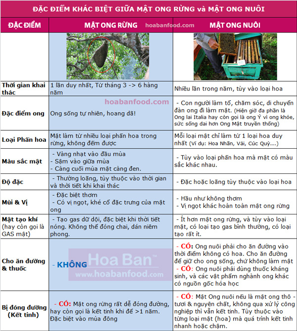 Bán buôn bán lẻ, tìm đại lý cho Mật ong rừng Tây Nguyên uy tín chất lượng Bán buôn bán lẻ, tìm đại lý cho Mật ong rừng Tây Nguyên uy tín chất lượng