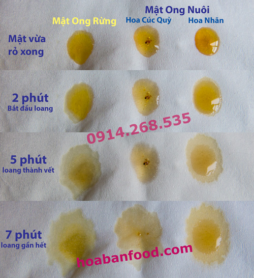 Bán buôn bán lẻ, tìm đại lý cho Mật ong rừng Tây Nguyên uy tín chất lượng Bán buôn bán lẻ, tìm đại lý cho Mật ong rừng Tây Nguyên uy tín chất lượng