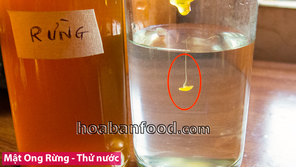 Bán buôn bán lẻ, tìm đại lý cho Mật ong rừng Tây Nguyên uy tín chất lượng Bán buôn bán lẻ, tìm đại lý cho Mật ong rừng Tây Nguyên uy tín chất lượng