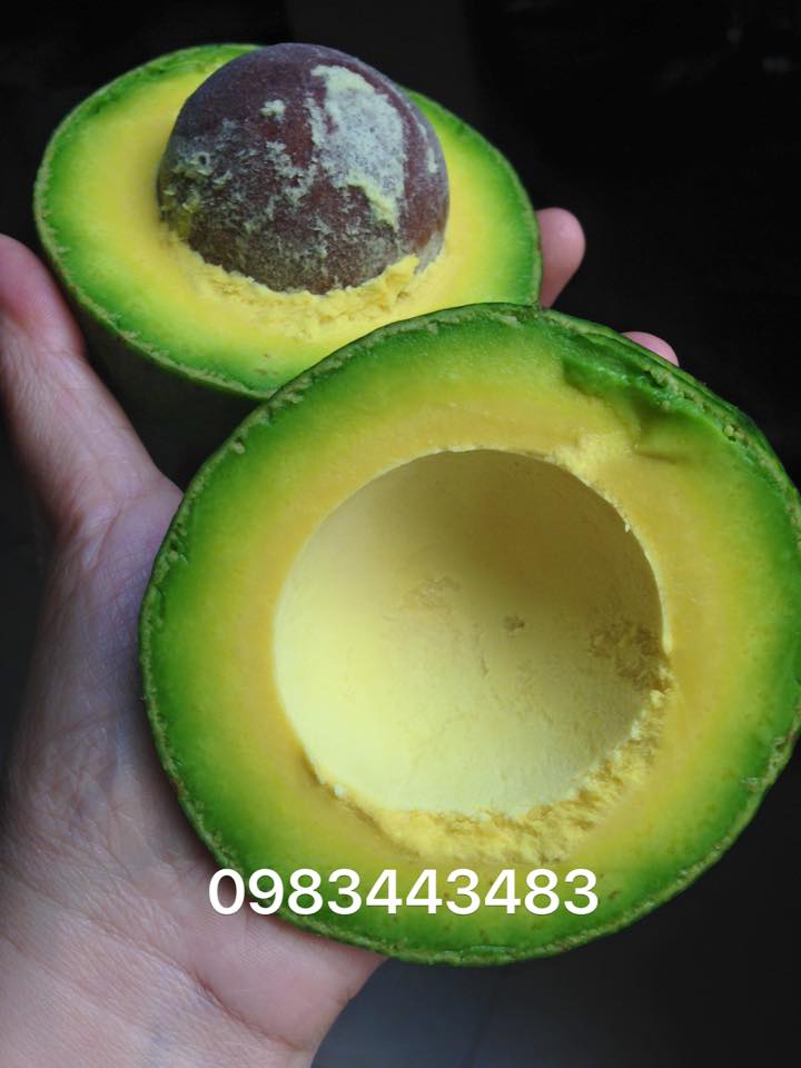 Bơ booth dẻo ngon Hàng loại 1 Bơ booth dẻo ngon Hàng loại 1