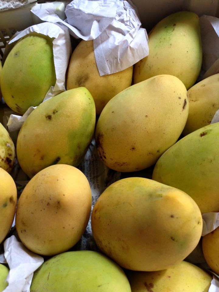 Xoài Cát Chu ngon ngọt: 65k/kg Xoài Cát Chu ngon ngọt: 65k/kg