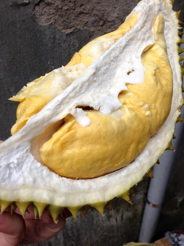 Xoài Cát Chu ngon ngọt: 65k/kg Xoài Cát Chu ngon ngọt: 65k/kg
