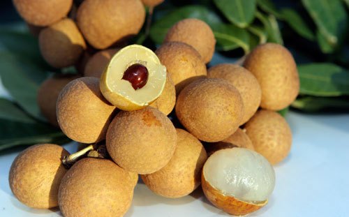 Nhãn thái to đại 65k/kg Nhãn thái to đại 65k/kg