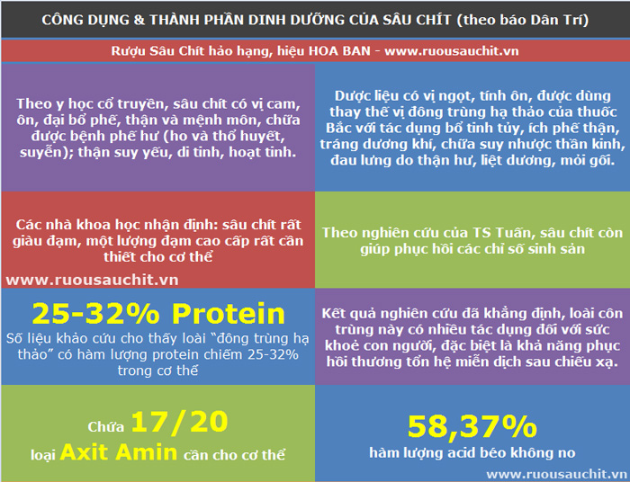 Sâu chít tươi - Bán buôn bán lẻ uy tín Sâu chít tươi - Bán buôn bán lẻ uy tín