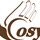 cosyleather.com