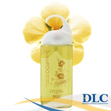 Dầu gội dành cho tóc nhuộm màu Shampoo