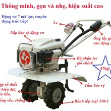 Máy làm đất đa năng Trâu Vàng 1WG4 giá rẻ nhất Hà Nội