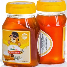 Mật ong hũ ô van 620gr