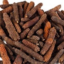 Tiêu Lốp Long Pepper