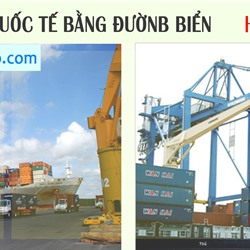 Vận chuyển hàng hóa quốc tế bằng đường biển từ TPHCM nhận nhanh