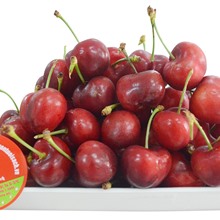 Cherry Đỏ Mỹ  - Cherry Nhập Khẩu Trực Tiếp