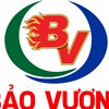 BAOVUONG