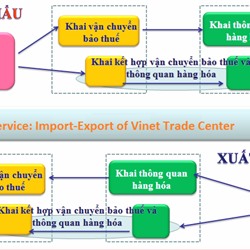 Dịch vụ xuất nhập khẩu, thông quan hải quan, ngân hàng, tờ khai và vận chuyển