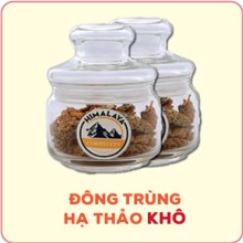 Đông Trùng Hạ Thảo Khô