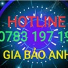 VÉ MÁY BAY GIÁ RẺ GIA BẢO ANH